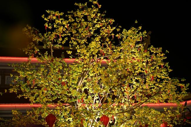 Đêm giao thừa chào đón năm Ất Tỵ 2025