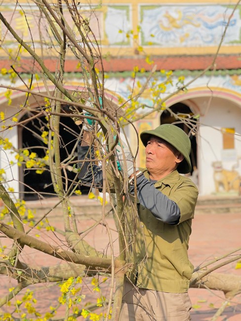 The 18th I have returned… Retreat at Dong Cao Pagoda, Thanh Hoa