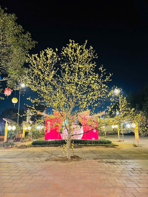 The 18th I have returned… Retreat at Dong Cao Pagoda, Thanh Hoa