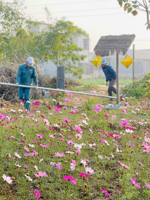 The 18th I have returned… Retreat at Dong Cao Pagoda, Thanh Hoa
