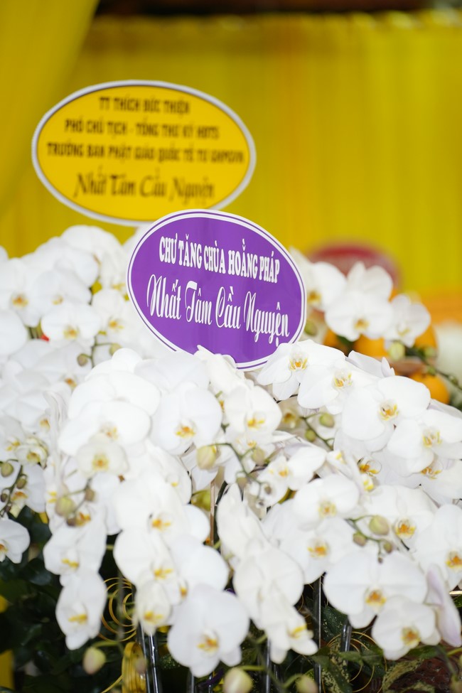 Visiting funeral and paying homage to Late Most Ven Thich Tri Tinh - Vice Dharma Lord