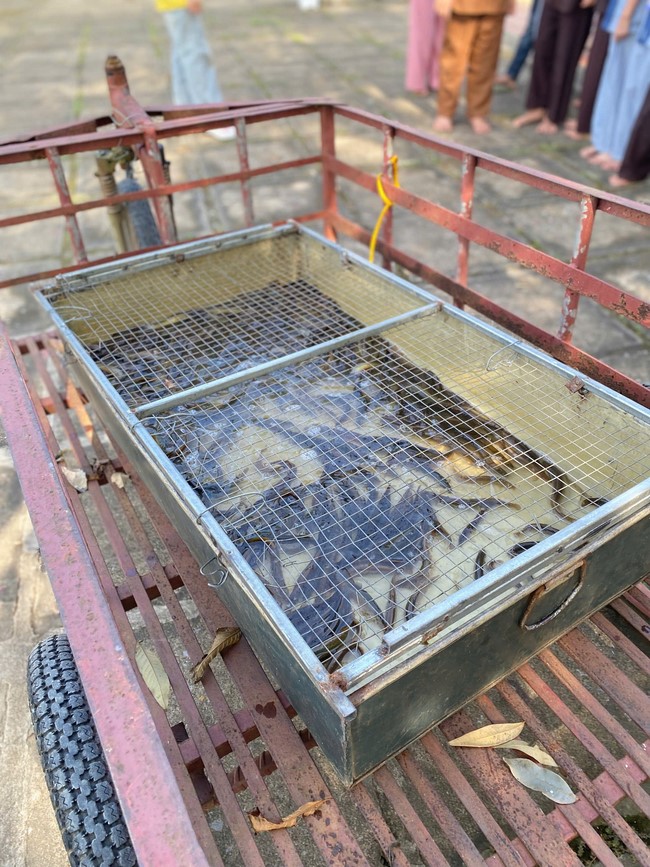 Dong Cao pagoda - Thanh Hoa: Full moon Festival - Happy reunion program for Kids