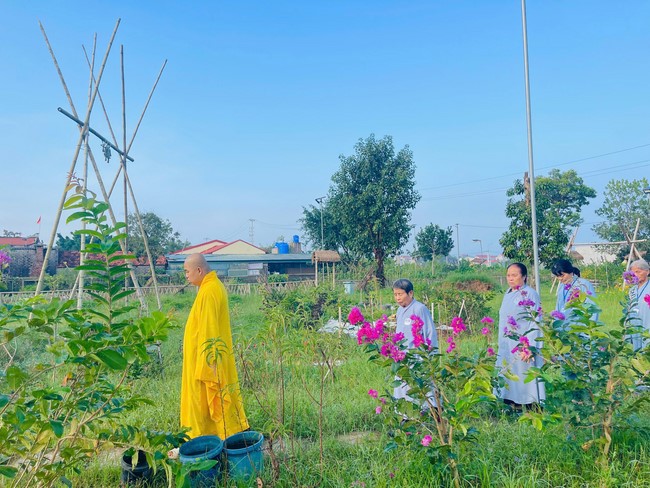 One - Day Practice at Dong Cao pagoda, Thanh Hoa