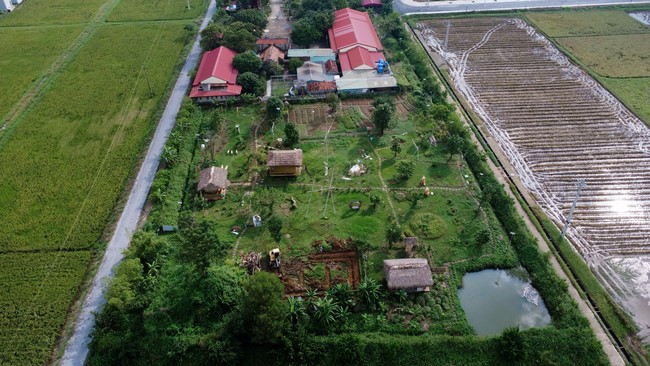 One - Day Practice at Dong Cao pagoda, Thanh Hoa