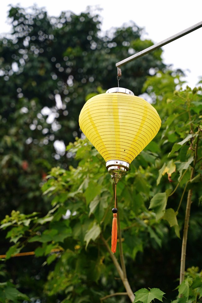 One - Day Practice at Dong Cao pagoda, Thanh Hoa