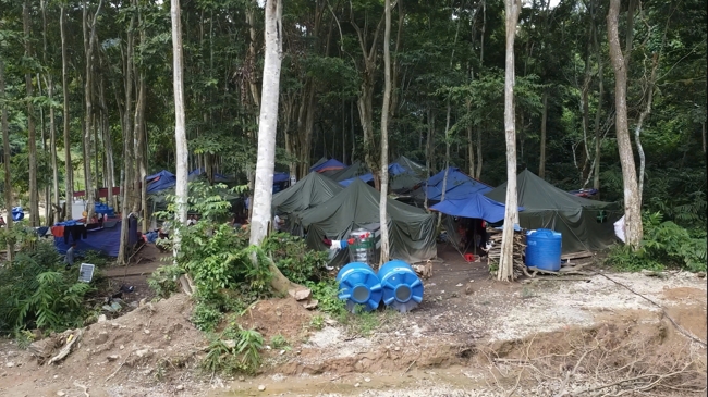 Disaster relief in Nghe An province in the pagoda's charity activities