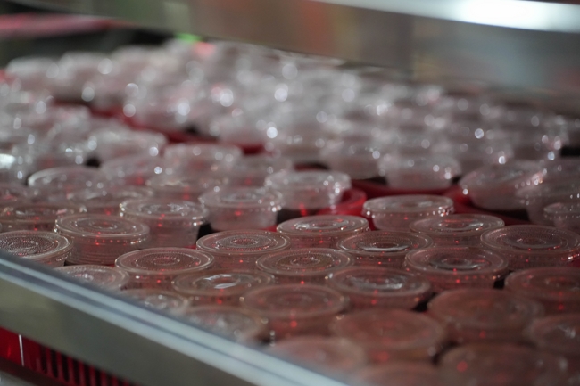 Lễ sám hối 14/08 Ất Tỵ