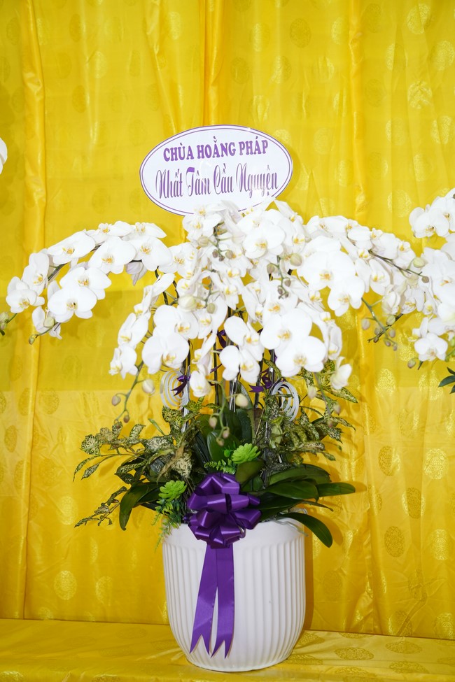 Viếng tang lễ Trưởng lão Hòa thượng Thích Từ Thông