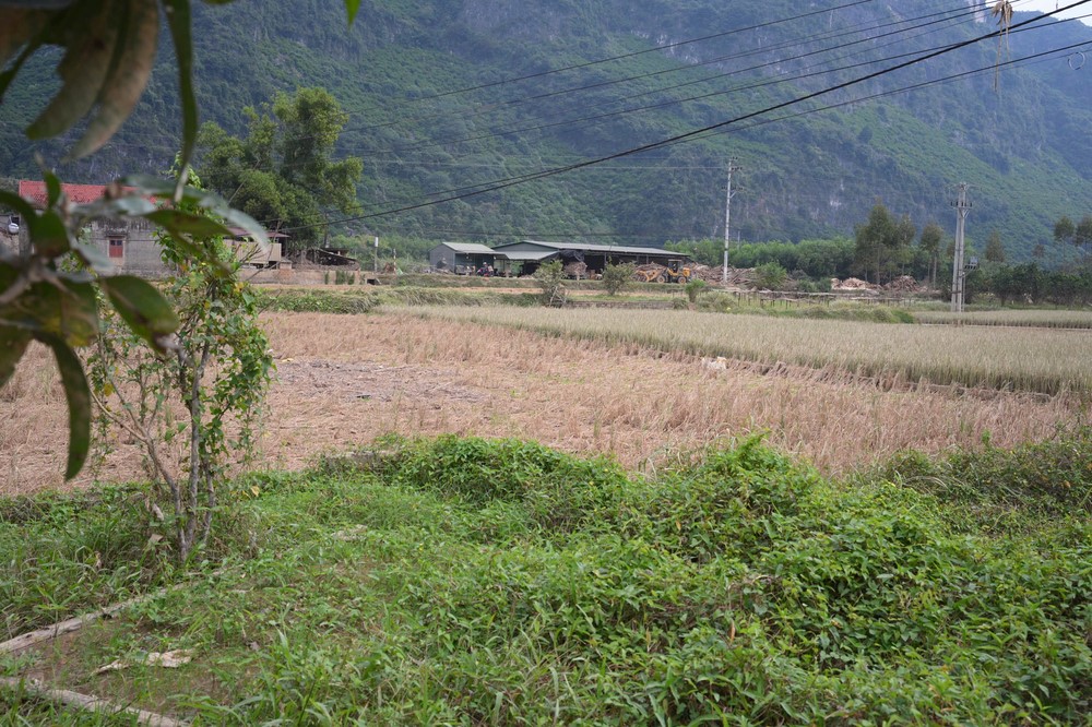 Disaster relief in Lang Son province in the pagoda's charity activities (Part 1)