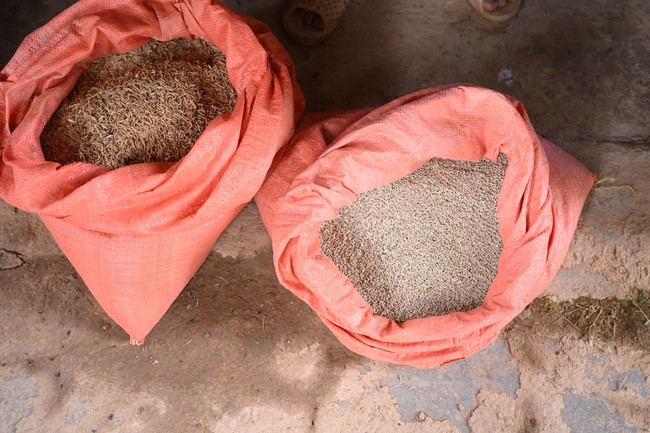 Từ Thiện: Hỗ trợ sau bão lũ tại Lạng Sơn (P2)