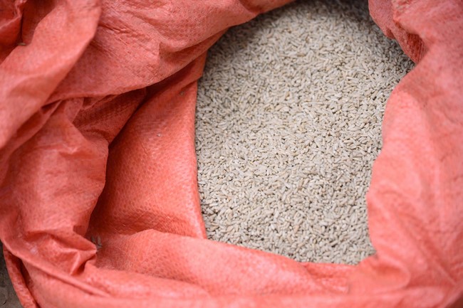 Từ Thiện: Hỗ trợ sau bão lũ tại Lạng Sơn (P2)