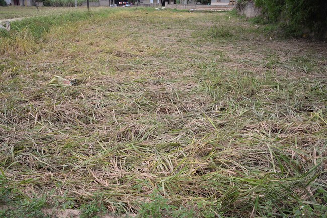 Từ Thiện: Hỗ trợ sau bão lũ tại Lạng Sơn (P2)