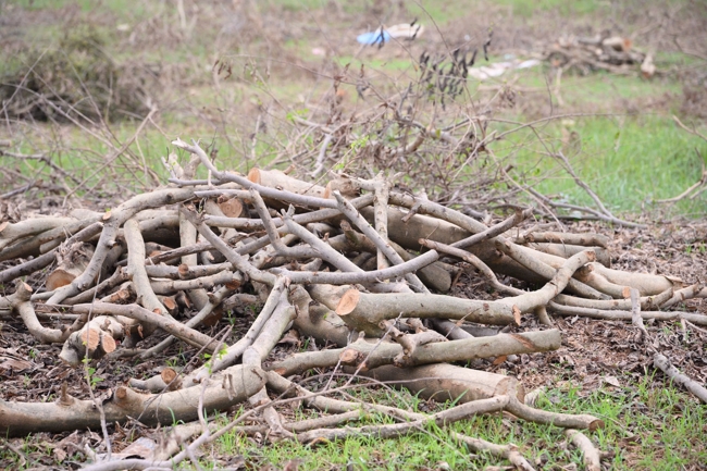 Từ Thiện: Hỗ trợ sau bão lũ tại Lạng Sơn (P4)