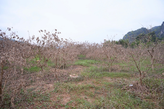 Từ Thiện: Hỗ trợ sau bão lũ tại Lạng Sơn (P4)