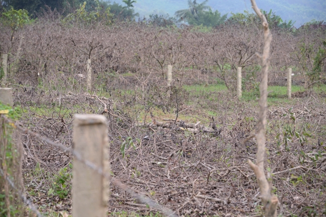 Từ Thiện: Hỗ trợ sau bão lũ tại Lạng Sơn (P4)