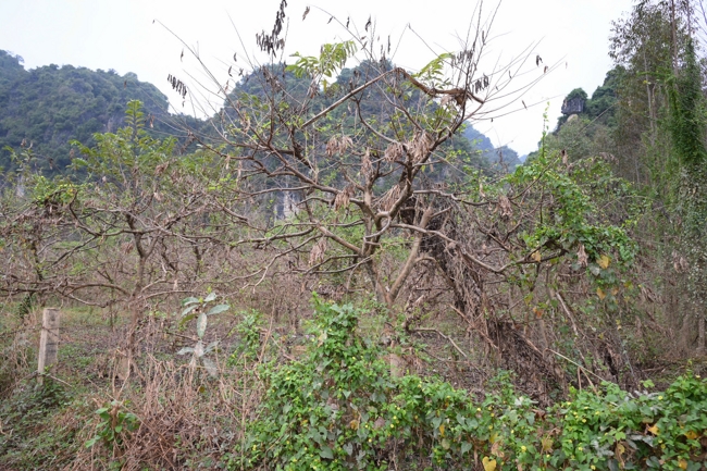 Từ Thiện: Hỗ trợ sau bão lũ tại Lạng Sơn (P4)