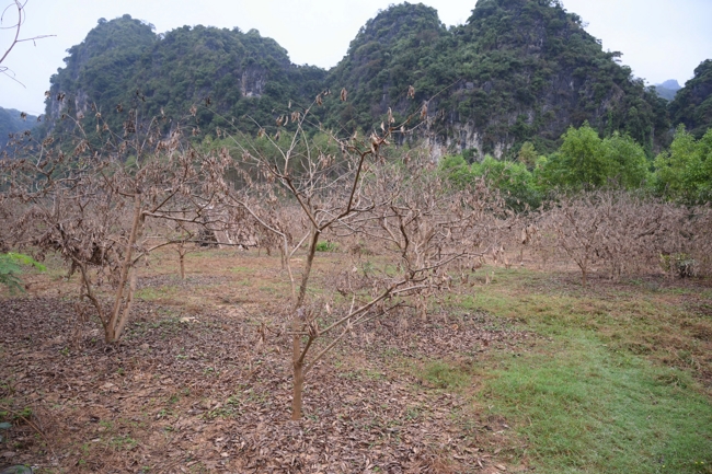 Từ Thiện: Hỗ trợ sau bão lũ tại Lạng Sơn (P4)