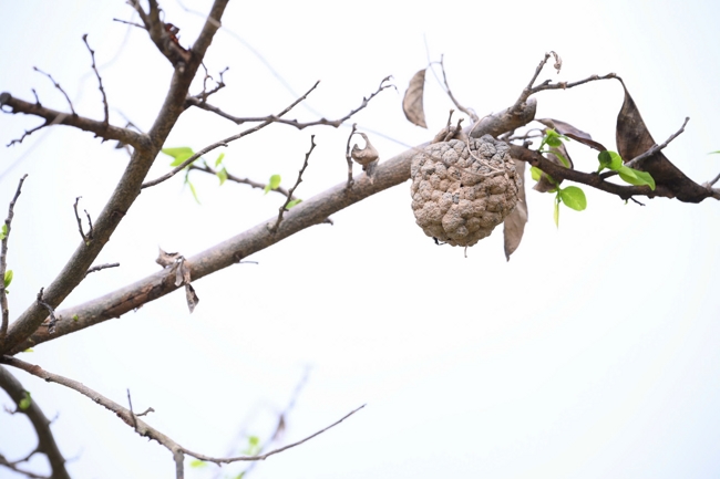 Từ Thiện: Hỗ trợ sau bão lũ tại Lạng Sơn (P4)