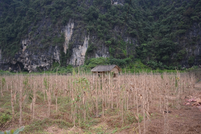 Từ Thiện: Hỗ trợ sau bão lũ tại Lạng Sơn (P4)