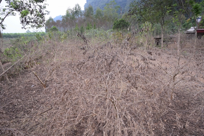 Từ Thiện: Hỗ trợ sau bão lũ tại Lạng Sơn (P4)