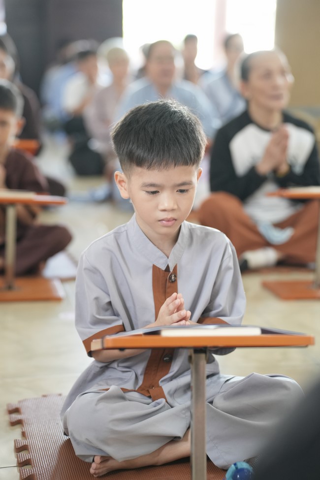 Freeing of creatures at Binh My ferry