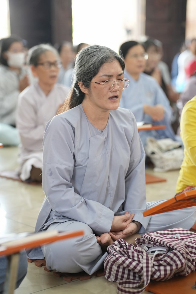 Freeing of creatures at Binh My ferry