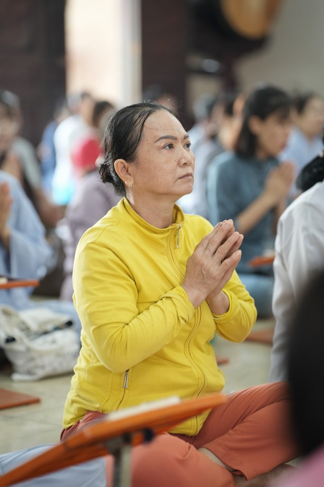 Freeing of creatures at Binh My ferry