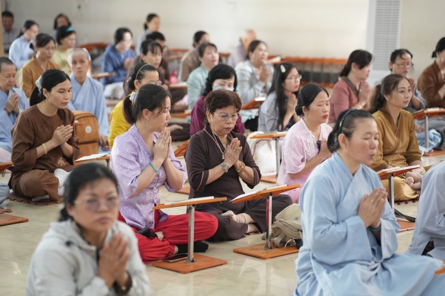 Freeing of creatures at Binh My ferry