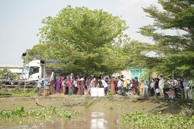 Freeing of creatures at Binh My ferry