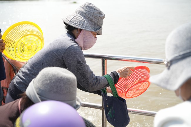 Freeing of creatures at Binh My ferry