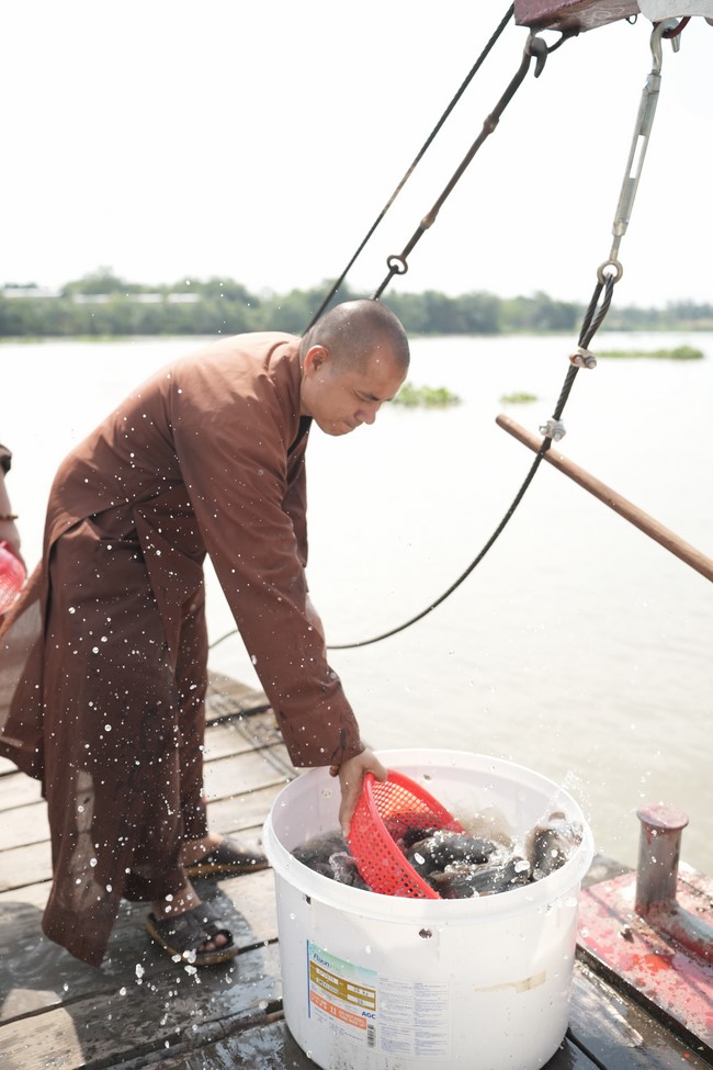 Freeing of creatures at Binh My ferry