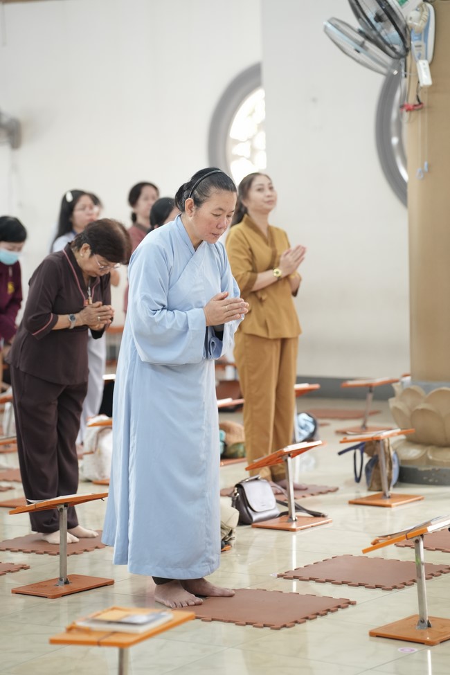 Freeing of creatures at Binh My ferry