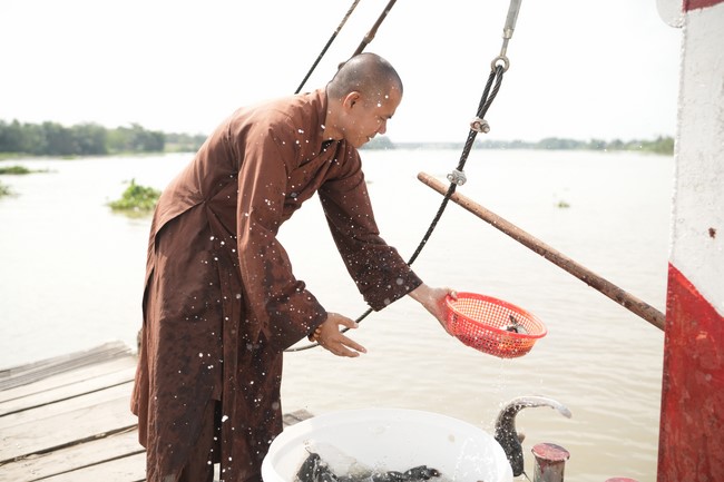 Freeing of creatures at Binh My ferry