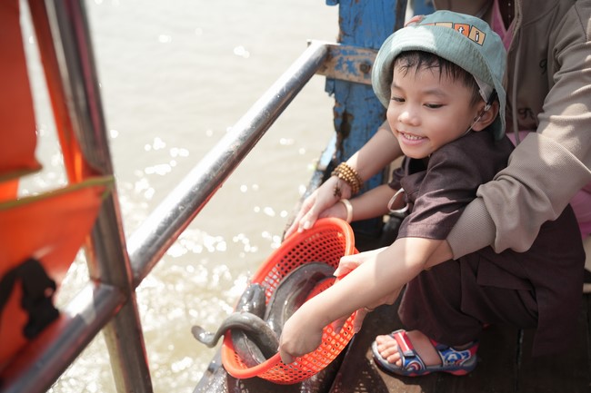 Freeing of creatures at Binh My ferry