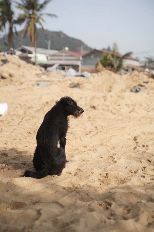 Từ thiện: Cứu trợ sau bão lũ tại tỉnh Gia Lai (tỉnh Bình Định cũ)