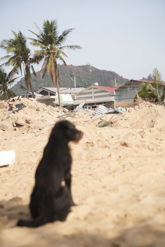 Từ thiện: Cứu trợ sau bão lũ tại tỉnh Gia Lai (tỉnh Bình Định cũ)