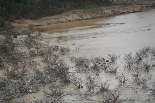 Từ thiện: Cứu trợ sau bão lũ tại Đà Nẵng