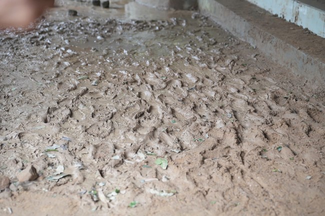 Từ thiện: Cứu trợ sau bão lũ tại Đà Nẵng