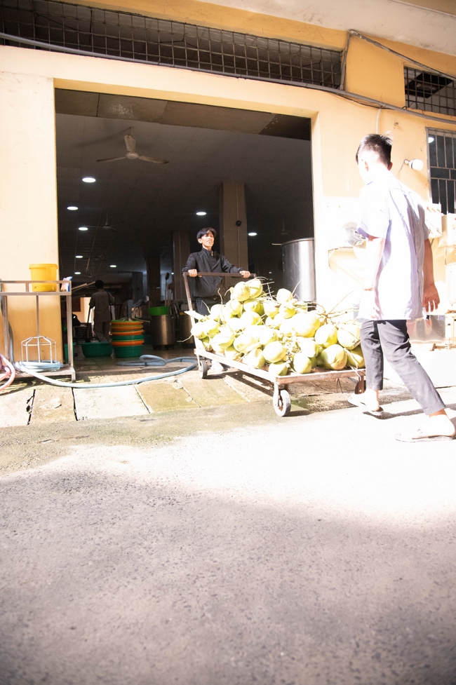 Lễ Quy y Tam Bảo – Lần 3/2025