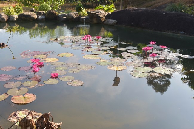 Lễ thượng bảng hiệu chùa Bảo Pháp – Lâm Đồng