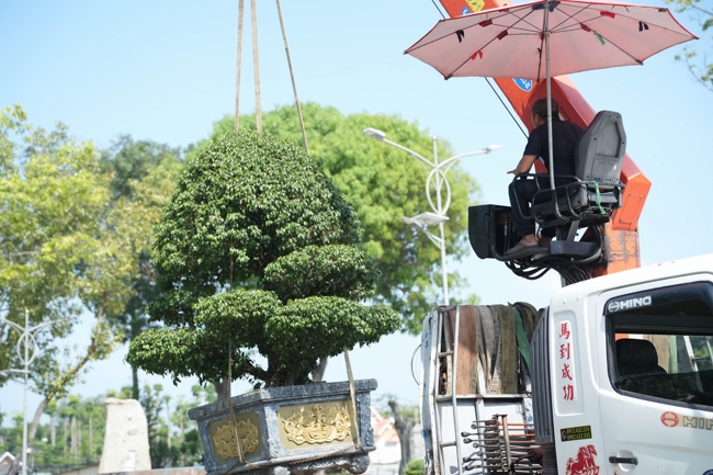 Công tác chuẩn bị đại lễ hoa đăng kỷ niệm đức Phật A-di-đà năm 2026