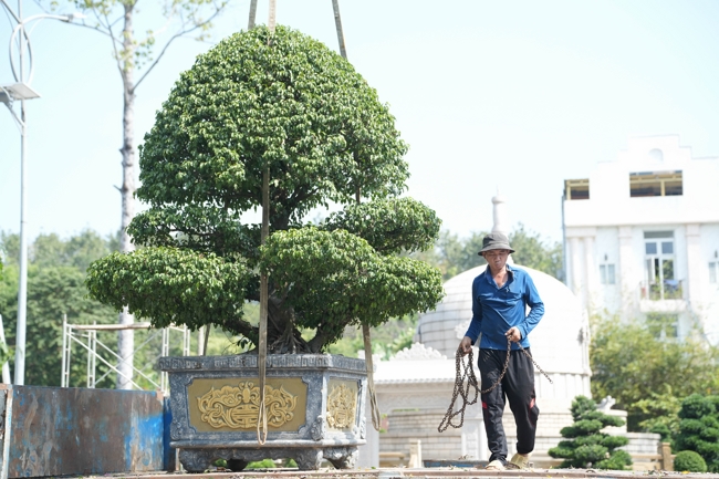 Công tác chuẩn bị đại lễ hoa đăng kỷ niệm đức Phật A-di-đà năm 2026