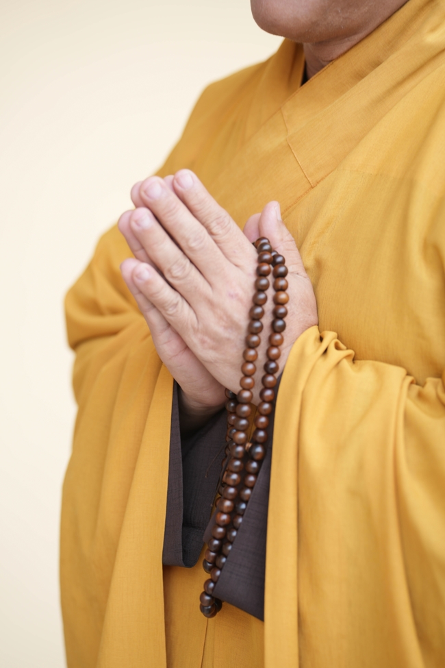 Pháp thoại Niệm Phật bền lâu không gián đoạn - TT. Thích Pháp Đăng | Khoá tu Phật thất 107.