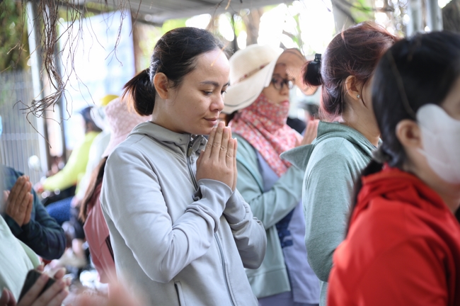 Phóng sinh tại bến phà Bình Mỹ