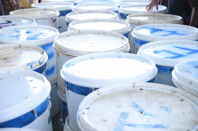 Phóng sinh tại bến phà Bình Mỹ