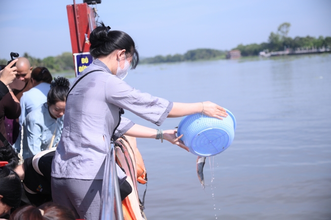 Phóng sinh tại bến phà Bình Mỹ