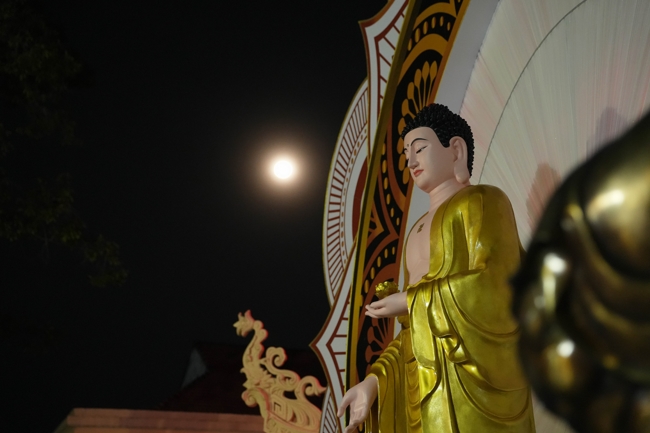 Lễ sám hối 14/11 Ất Tỵ