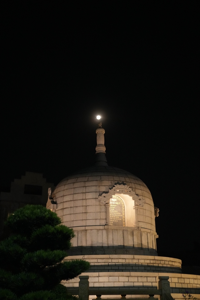 Lễ sám hối 14/11 Ất Tỵ