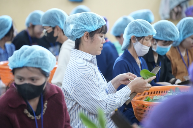 Dharma talk Secular people, dharma practitioners - Most Thích Giác Đăng in the 107th Seven-day Retreat