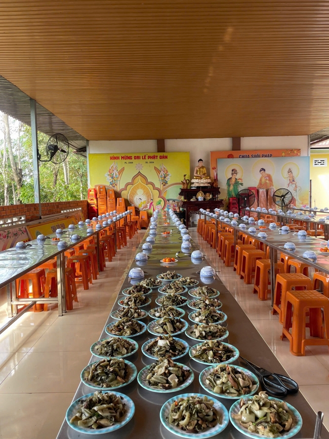 Chùa Suối Pháp – Tây Ninh: Khóa tu một ngày an lạc